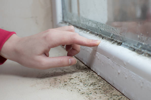 Best Mold Remediation for Healthcare Facilities  in Sleepy Hollow, NY